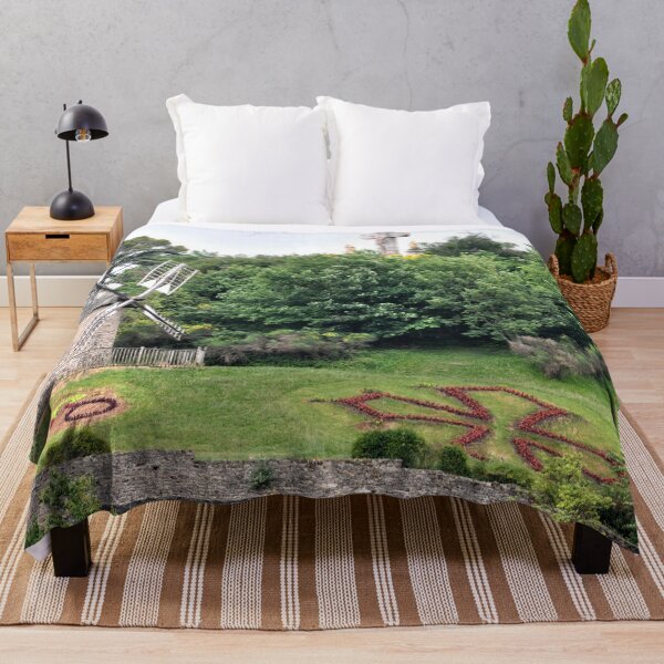 Item preview, Medieval village of Lautrec in France designed and sold by franck380.