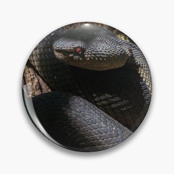 Item preview, Mangrove Pit Viper designed and sold by TravellingFatmn.