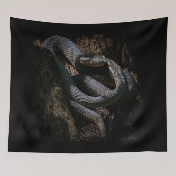 Item preview, Mangrove Pit Viper designed and sold by TravellingFatmn.
