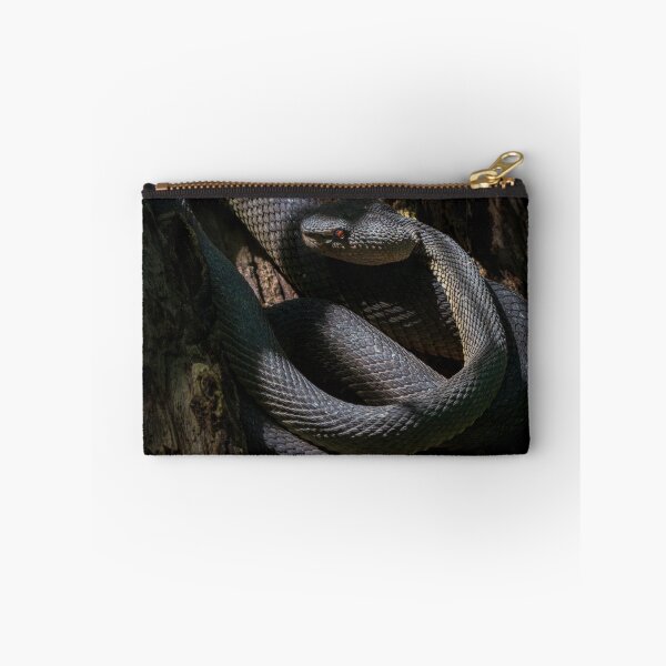 Item preview, Mangrove Pit Viper designed and sold by TravellingFatmn.