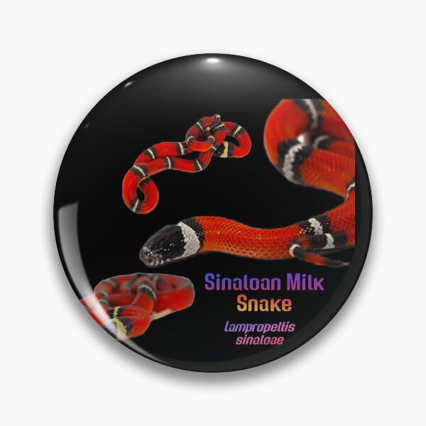 Artikelvorschau, Sinaloanische Milchschlange entworfen und verkauft von StrangeFetish.