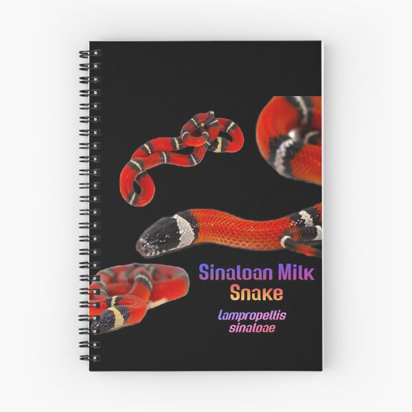 Item preview, Sinaloan Milk Snake designed and sold by StrangeFetish.