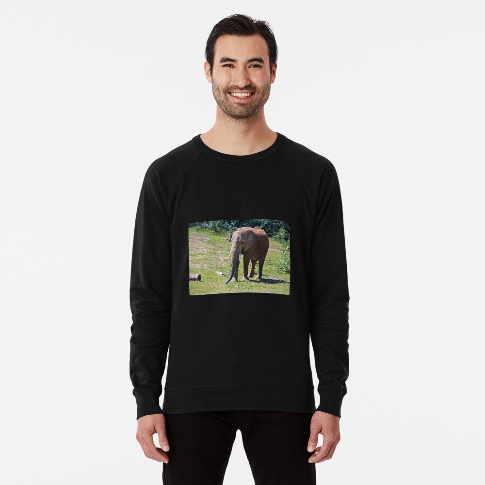 Item preview, Lightweight Sweatshirt designed and sold by Michiale.