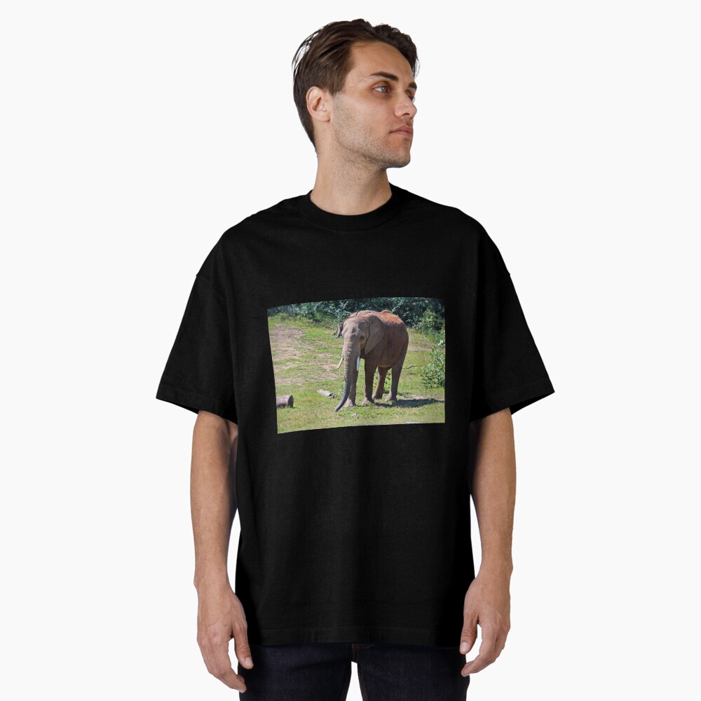 Item preview, Oversized T-Shirt designed and sold by Michiale.