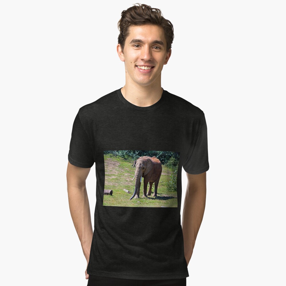 Item preview, Tri-blend T-Shirt designed and sold by Michiale.
