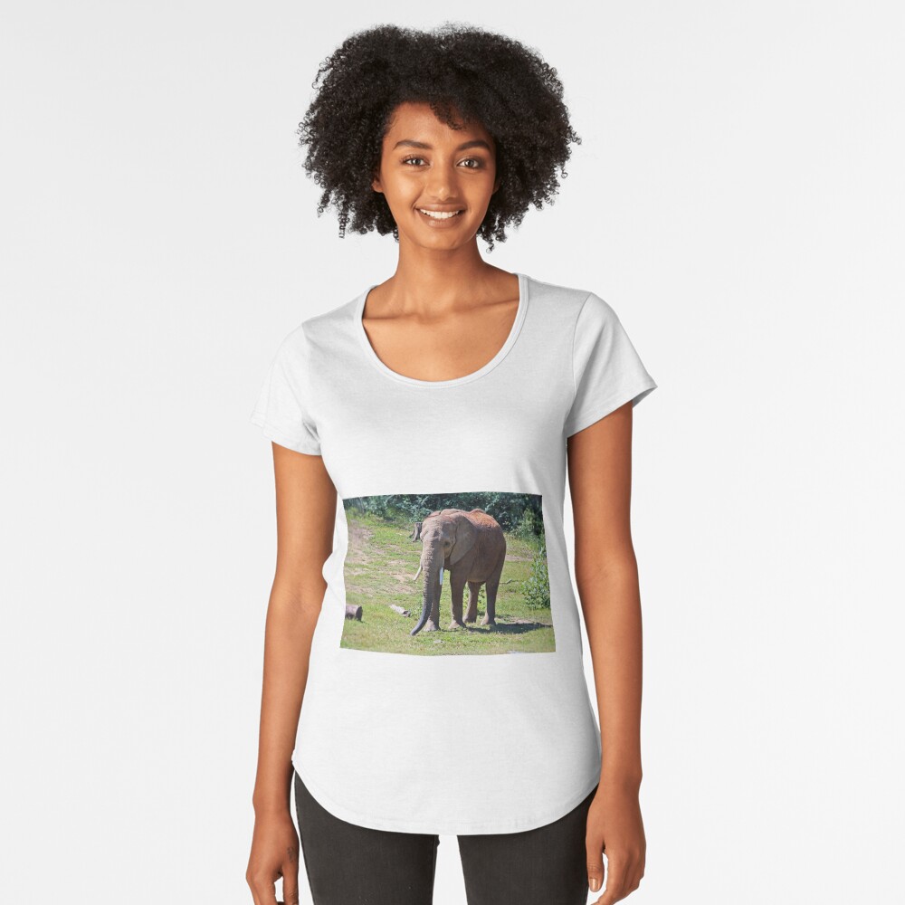 Item preview, Premium Scoop T-Shirt designed and sold by Michiale.