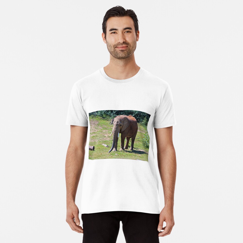 Item preview, Premium T-Shirt designed and sold by Michiale.