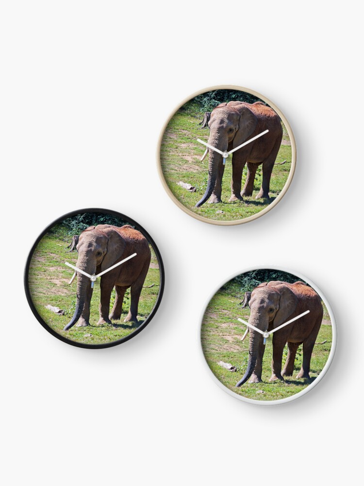 Thumbnail 3 of 4, Clock, Birmingham Elephant designed and sold by Michiale.