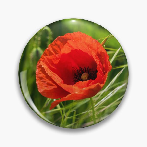 Item preview, Summer is Coming - Single Poppy Flower in the Grass designed and sold by Georgia Mizuleva.