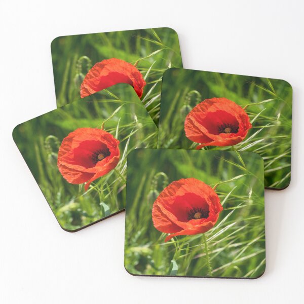 Item preview, Summer is Coming - Single Poppy Flower in the Grass designed and sold by Georgia Mizuleva.