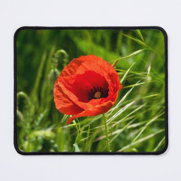 Item preview, Summer is Coming - Single Poppy Flower in the Grass designed and sold by Georgia Mizuleva.