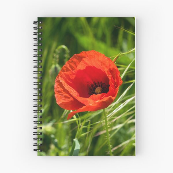 Item preview, Summer is Coming - Single Poppy Flower in the Grass designed and sold by Georgia Mizuleva.