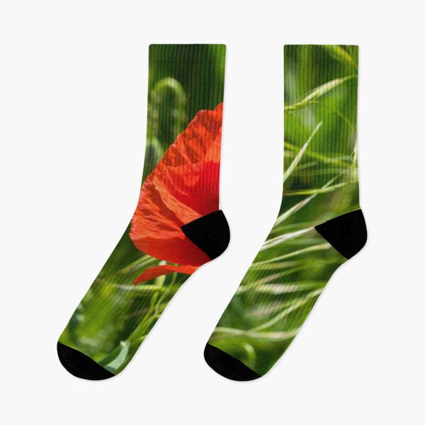 Item preview, Summer is Coming - Single Poppy Flower in the Grass designed and sold by Georgia Mizuleva.