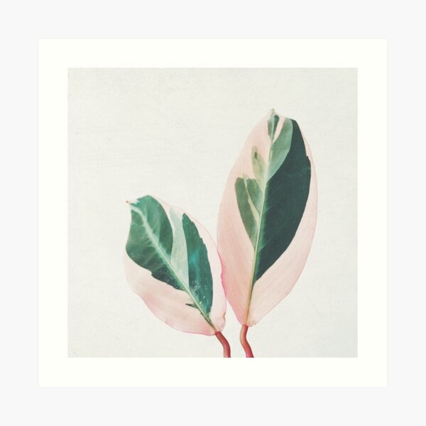 Pink Leaves I Art Print
