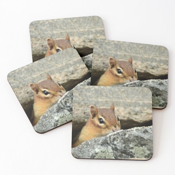 Item preview, Sneaky Chipmunk  designed and sold by WWbugsandslugs.