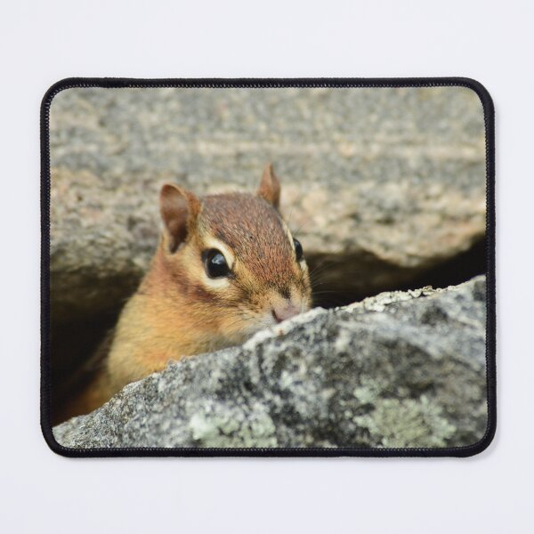Item preview, Sneaky Chipmunk designed and sold by WWbugsandslugs.