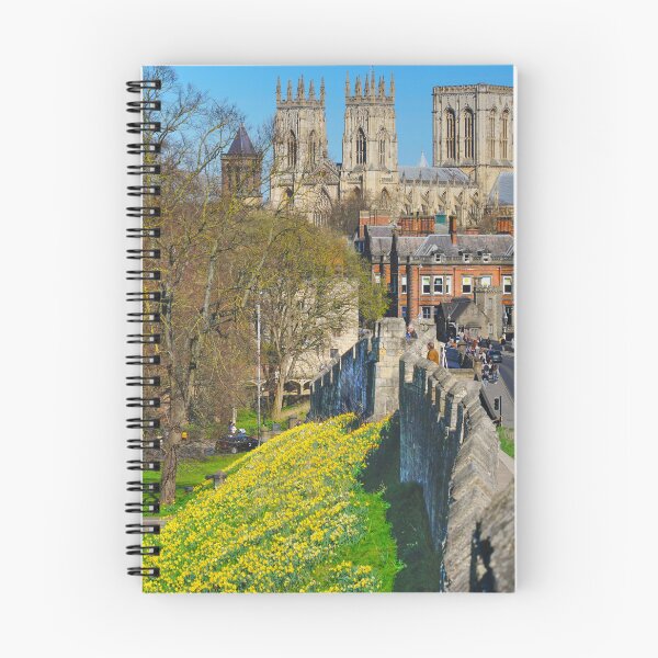 Item preview, York Minster and Daffodils  designed and sold by Alisonchambers2.