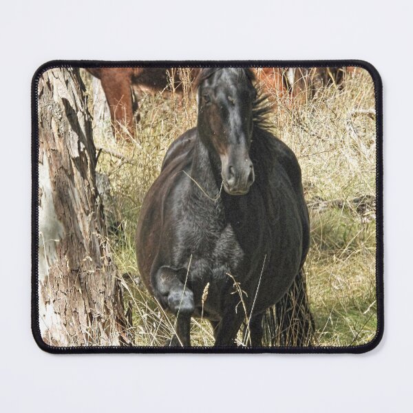 Item preview, Brumby designed and sold by julie anne grattan.