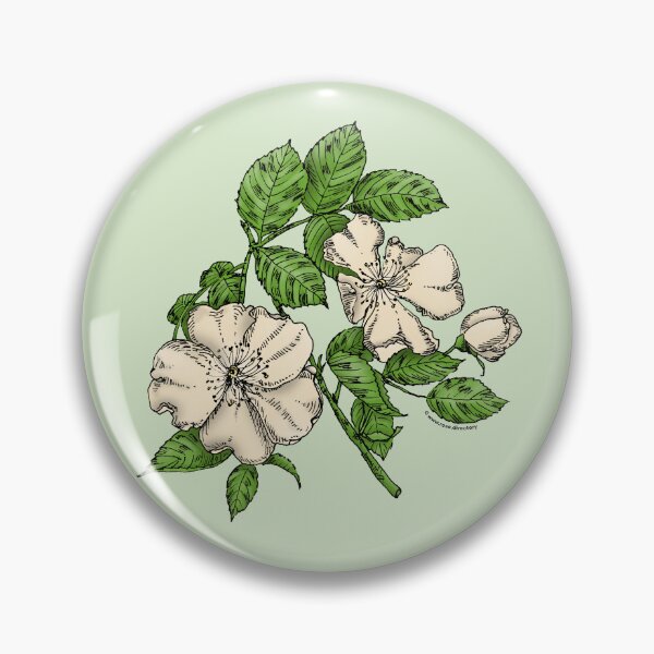 Item preview, Cream Flat Rose Bloom Single 1-7 Petals Almost Flat designed and sold by Rachael Taylor.