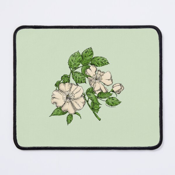 Item preview, Cream Flat Rose Bloom Single 1-7 Petals Almost Flat designed and sold by Rachael Taylor.