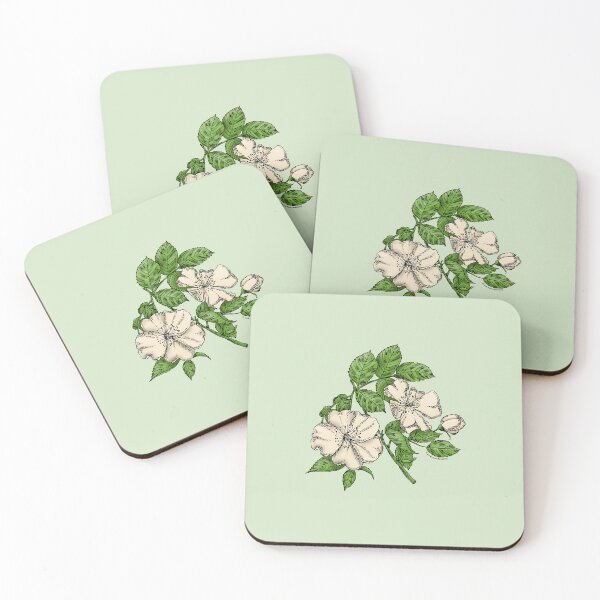 Item preview, Cream Flat Rose Bloom Single 1-7 Petals Almost Flat designed and sold by Rachael Taylor.
