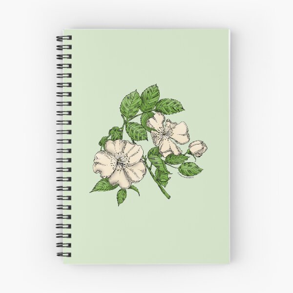 Item preview, Cream Flat Rose Bloom Single 1-7 Petals Almost Flat designed and sold by Rachael Taylor.
