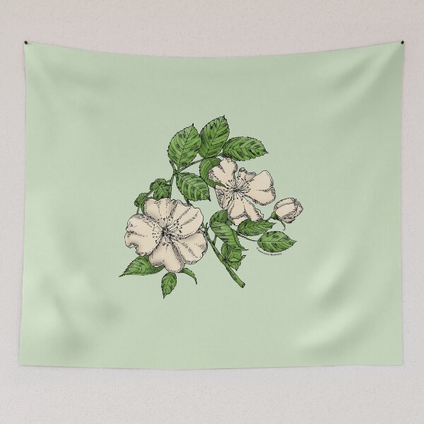 Item preview, Cream Flat Rose Bloom Single 1-7 Petals Almost Flat designed and sold by Rachael Taylor.