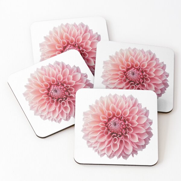 Item preview, Dahlia, pink flower designed and sold by Aliaksandr Kudlakou.