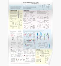 Guide to Drawing the Body Poster