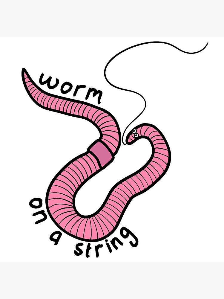 Amazing but absurd': how worm-charming is drawing Cornish art back to its  roots, Art and design
