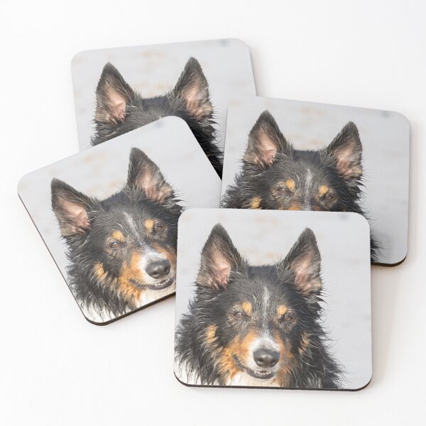 Item preview, Wet Border Collie  designed and sold by MarkRame.