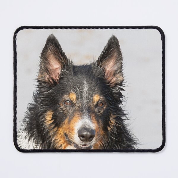 Item preview, Wet Border Collie designed and sold by MarkRame.