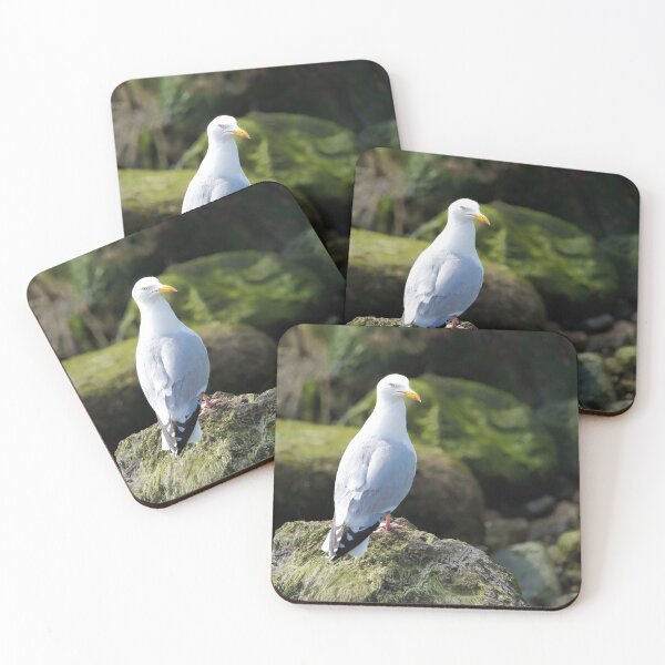 Item preview, Herring Gull Perched on Rocks designed and sold by Dorset Girl.