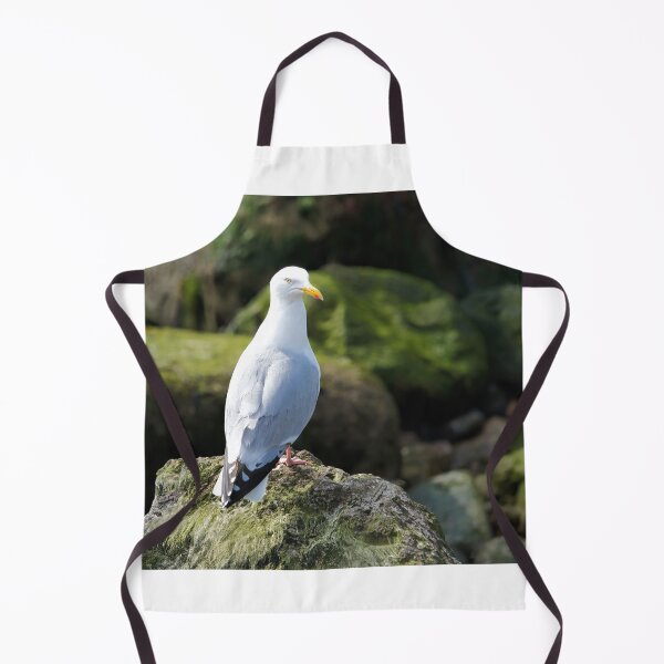 Item preview, Herring Gull Perched on Rocks designed and sold by Dorset Girl.