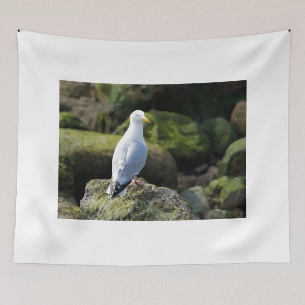 Item preview, Herring Gull Perched on Rocks designed and sold by Dorset Girl.