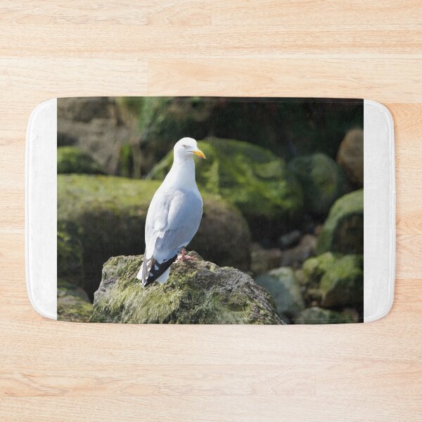 Item preview, Herring Gull Perched on Rocks designed and sold by Dorset Girl.