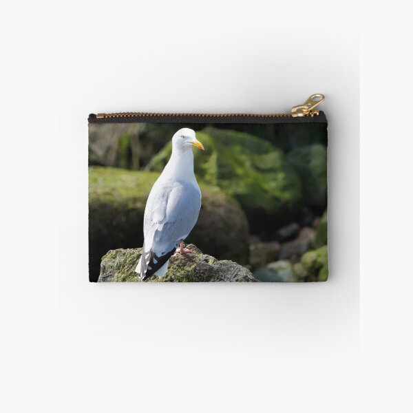 Item preview, Herring Gull Perched on Rocks designed and sold by Dorset Girl.