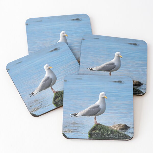 Item preview, Herring Gull Perched on Rocks designed and sold by Dorset Girl.