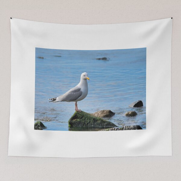 Item preview, Herring Gull Perched on Rocks designed and sold by Dorset Girl.