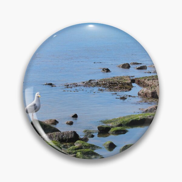 Item preview, Herring Gull Perched on Rocks designed and sold by Dorset Girl.