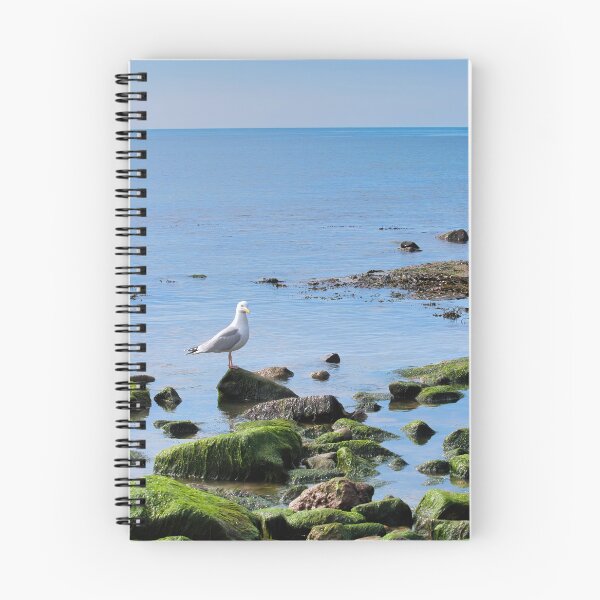Item preview, Herring Gull Perched on Rocks designed and sold by Dorset Girl.