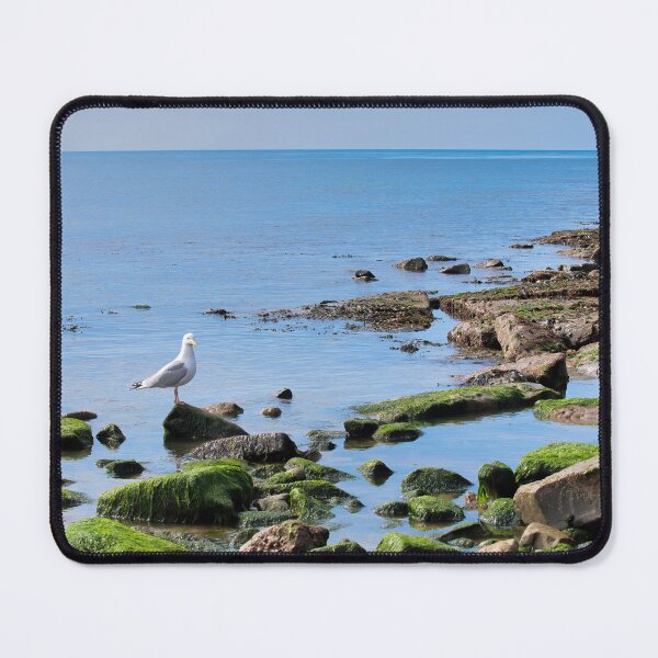 Item preview, Herring Gull Perched on Rocks designed and sold by Dorset Girl.