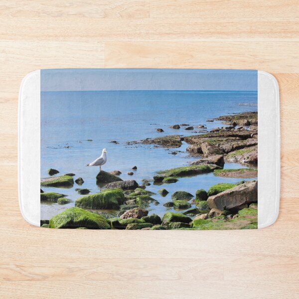 Item preview, Herring Gull Perched on Rocks designed and sold by Dorset Girl.