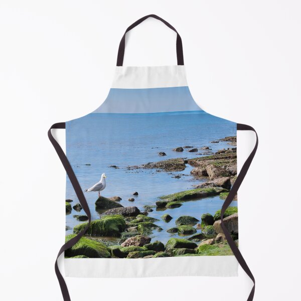 Item preview, Herring Gull Perched on Rocks designed and sold by Dorset Girl.