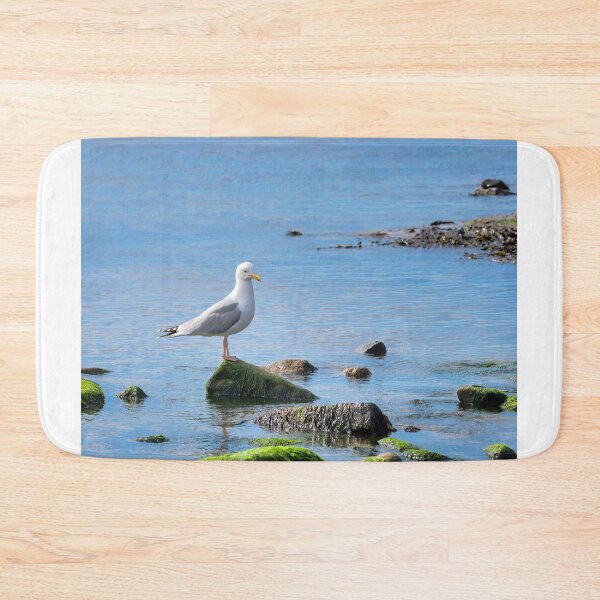 Item preview, Herring Gull Perched on Rocks designed and sold by Dorset Girl.