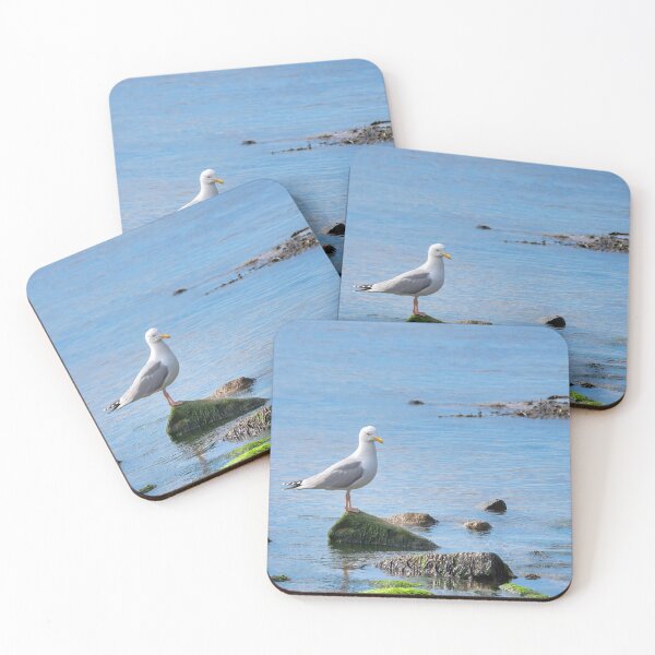Item preview, Herring Gull Perched on Rocks designed and sold by Dorset Girl.