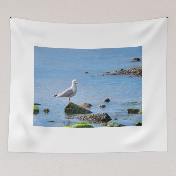 Item preview, Herring Gull Perched on Rocks designed and sold by Dorset Girl.
