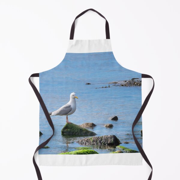 Item preview, Herring Gull Perched on Rocks designed and sold by Dorset Girl.