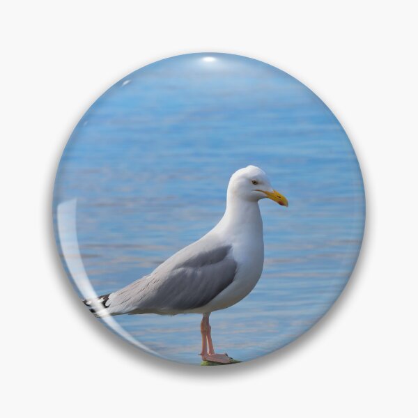 Item preview, Herring Gull Perched on Rocks designed and sold by Dorset Girl.
