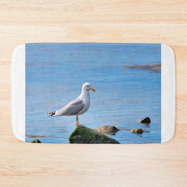 Item preview, Herring Gull Perched on Rocks designed and sold by Dorset Girl.